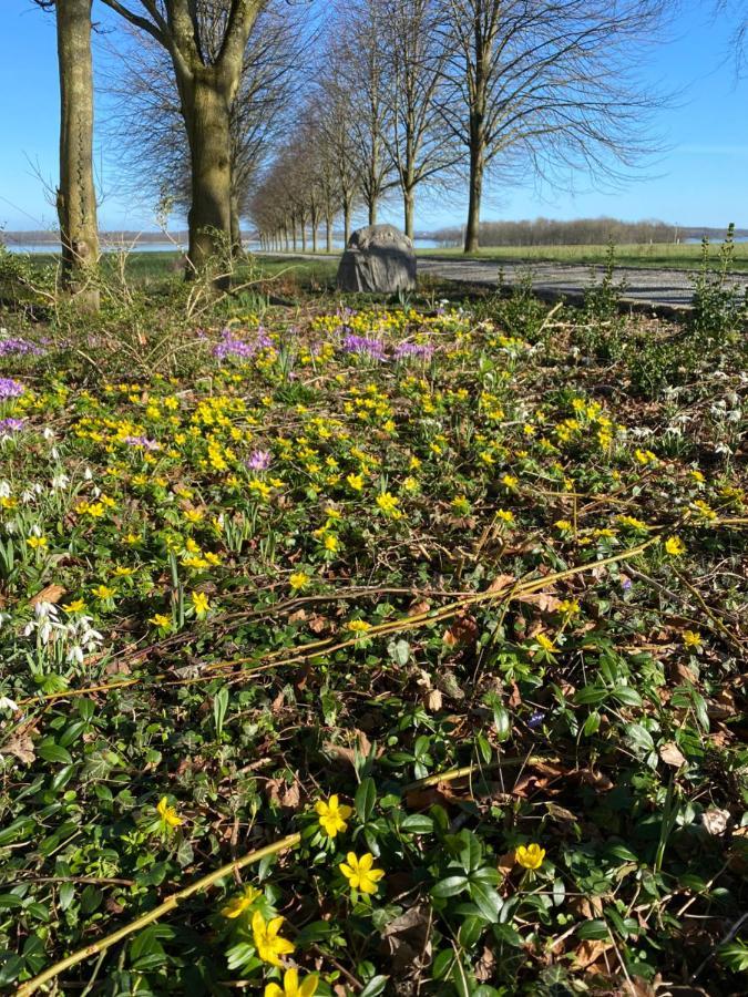 Vibaek Villa Sønderborg Buitenkant foto
