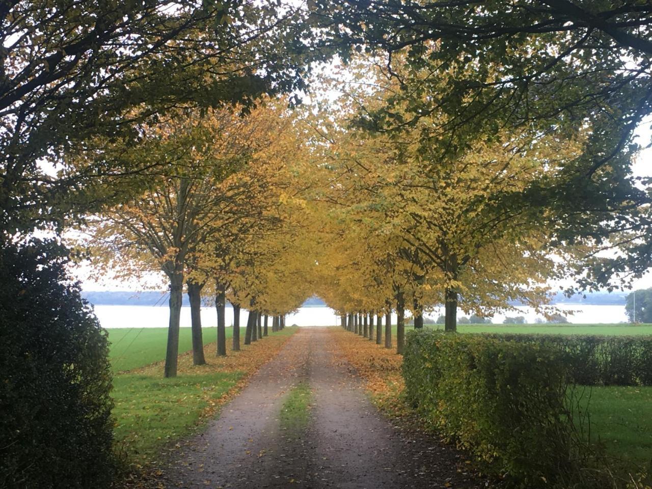 Vibaek Villa Sønderborg Buitenkant foto