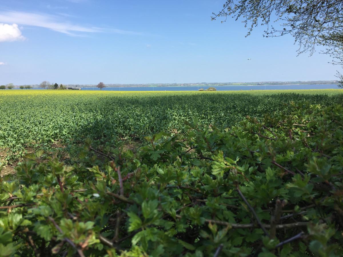 Vibaek Villa Sønderborg Buitenkant foto
