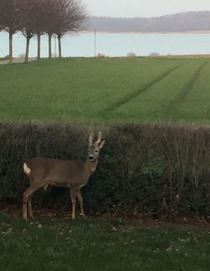 Vibaek Villa Sønderborg Buitenkant foto