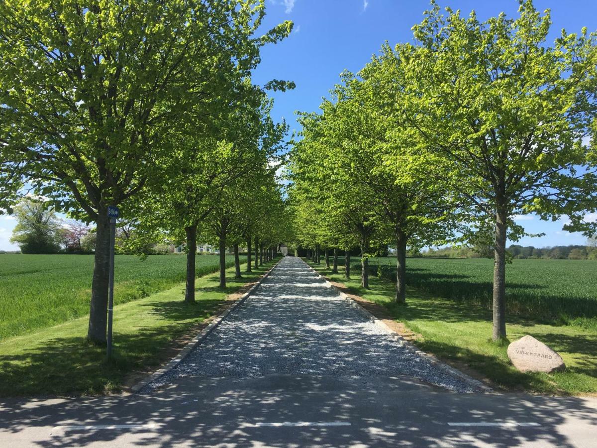 Vibaek Villa Sønderborg Buitenkant foto